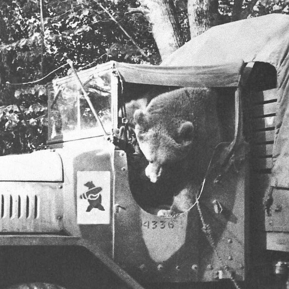 20200629 Wojtek 3.jpg