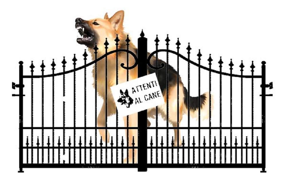 20210315 attualitàcani 03