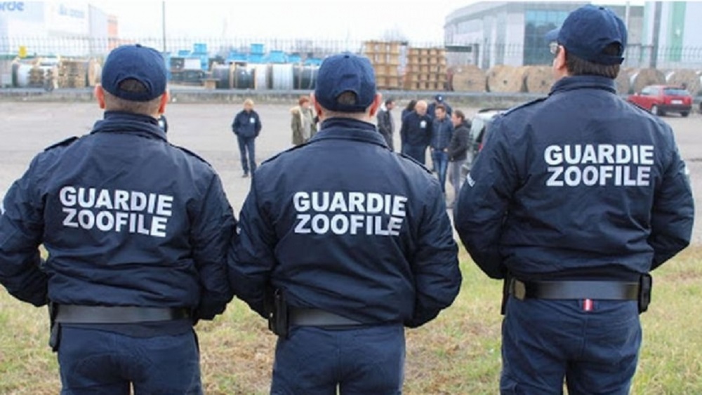 20210315 attualitàcani 04