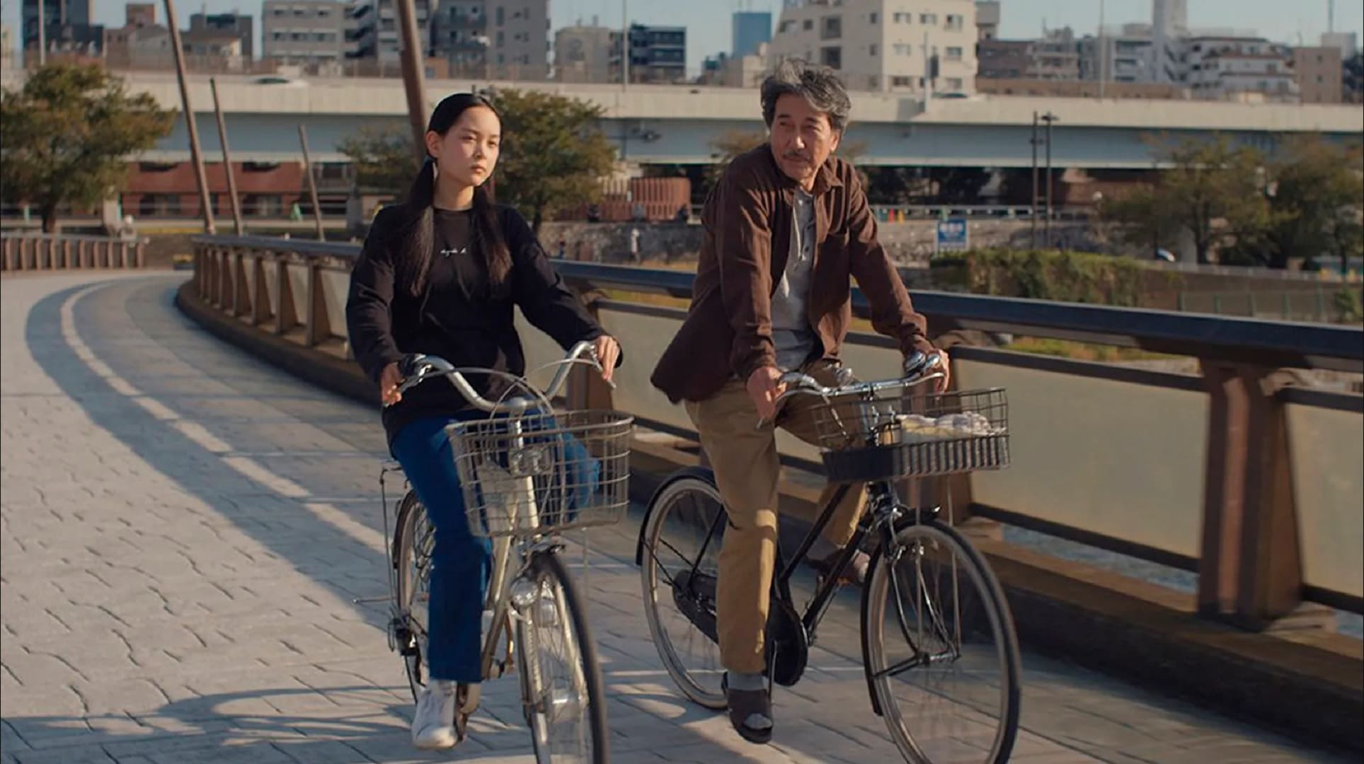 Perfect Days recensione